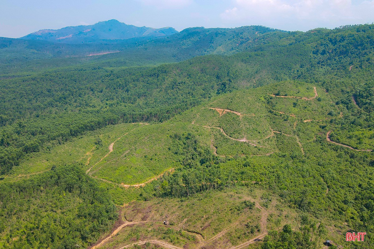 toan canh dụ an