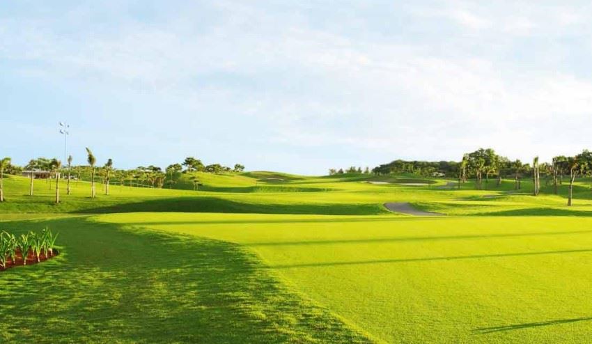 Sân golf Twin Doves Golf Club