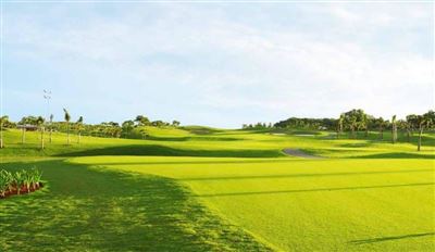 Sân golf Twin Doves Golf Club