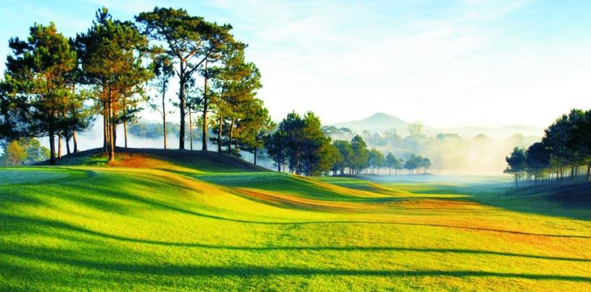 Sân Da Lat Palacae Golf Club - Đồi Cù